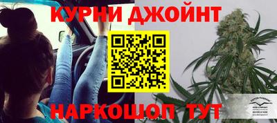гидра Бузулук