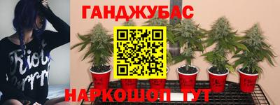 таблы Будённовск